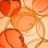 Murad Rapid Dark Spot Correcting Serum