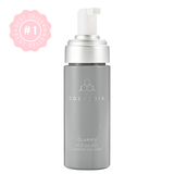 Cosmedix Clarify Salicylic Acid Foaming Cleanser